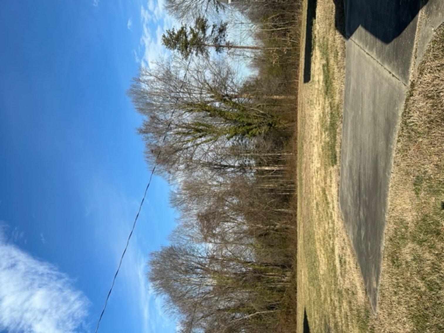 Image for Saturday, March 4 @ 10 AM