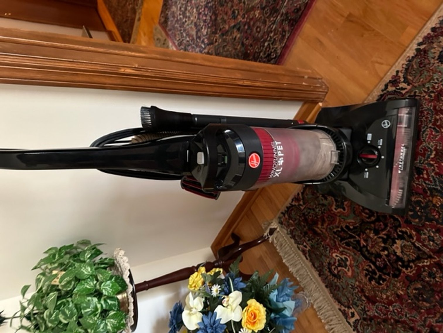 Image for Saturday, March 4 @ 10 AM