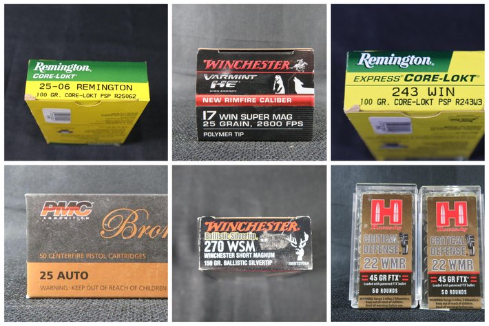 Image for Ammunition and Accessories