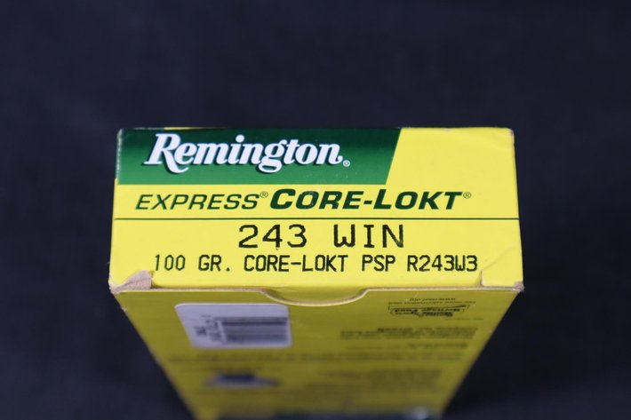 Image for Ammunition and Accessories