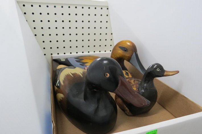 Image for Hidden Treasures Gallery #3011