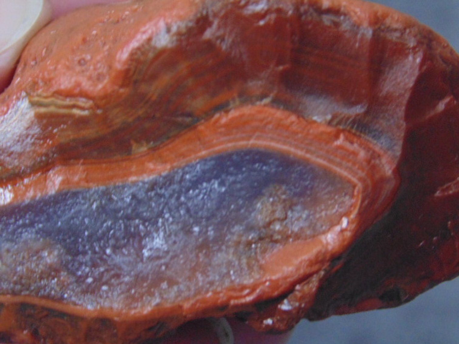 Image for Lapidary: Agates, Fossils, Equipment & More