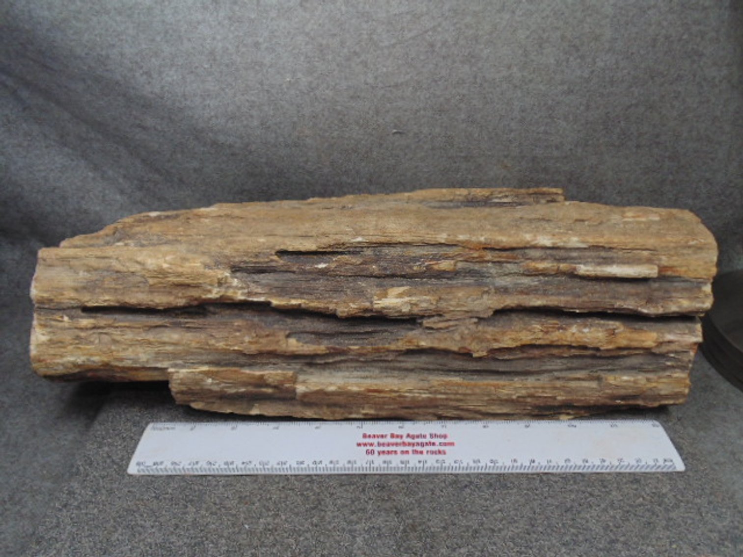 Image for Lapidary: Agates, Fossils, Equipment & More