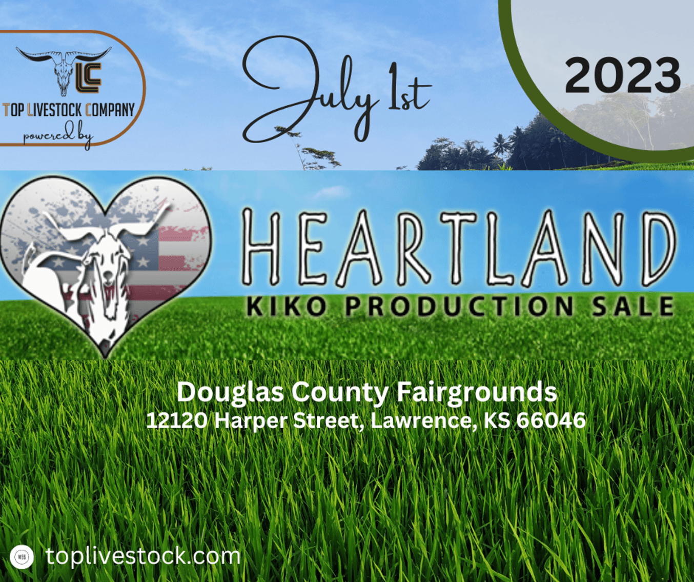 Image for 2023 Heartland Kiko Production Sale