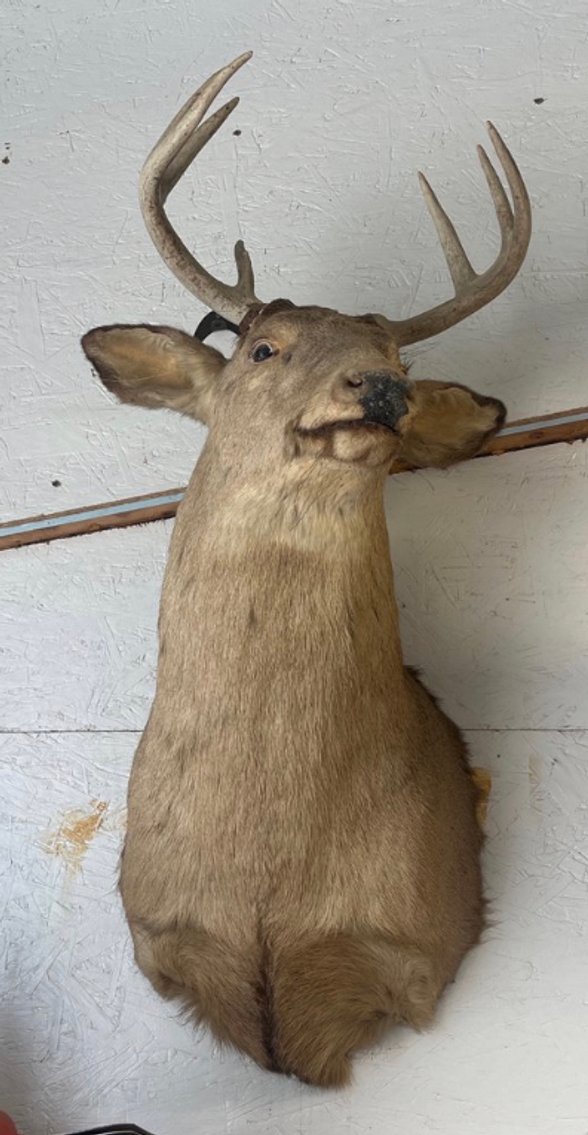 Image for Arcadia Downsizing No. 2