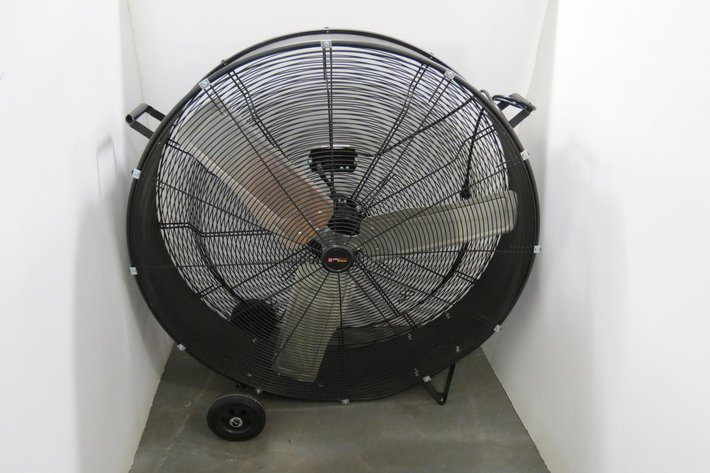 Image for Hidden Treasures Gallery #3025