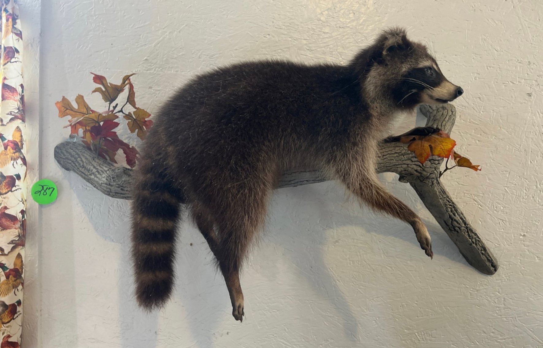 Image for Cygnet Ohio Living Estate Auctions