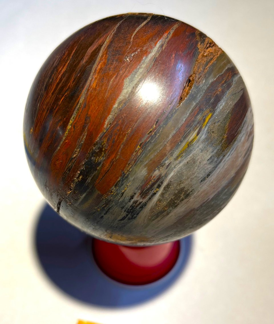 Image for Natural History Auction: Fossils, Minerals, Crystals, Gems, Biologic Specimens