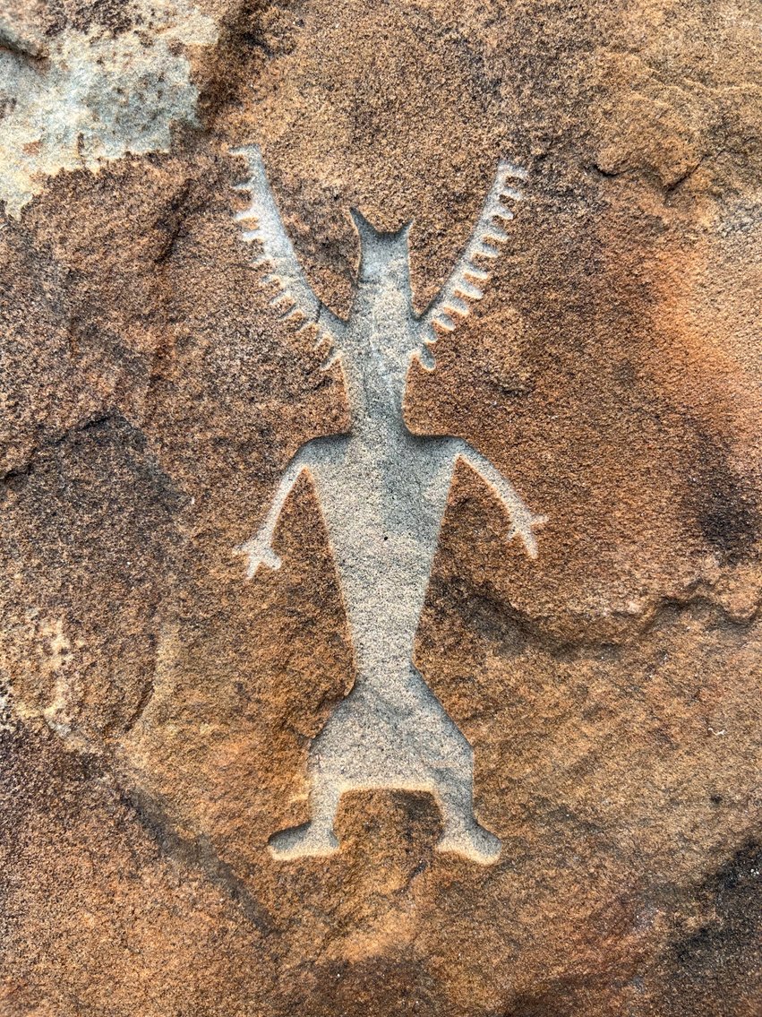 Image for Natural History Auction: Fossils, Minerals, Crystals, Gems, Biologic Specimens