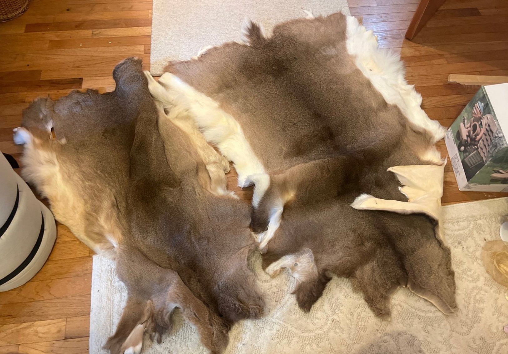 Image for Antiques, Collectibles, and More!!