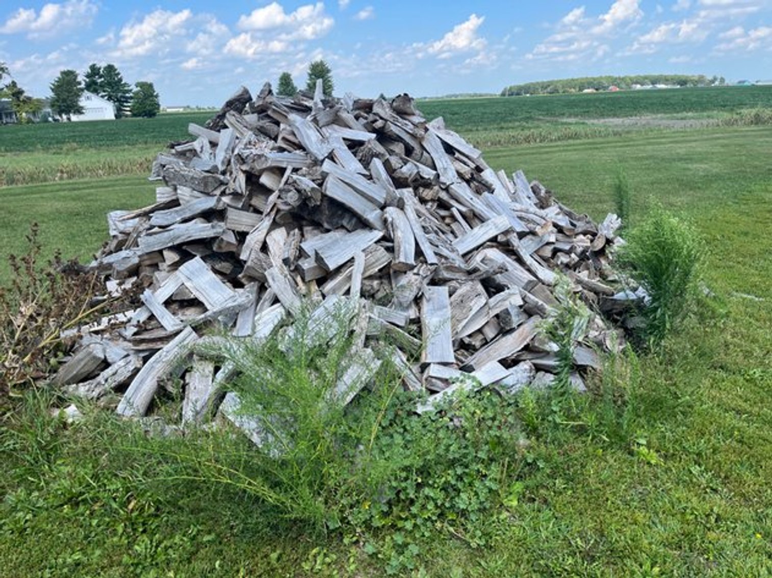 Image for Bowling Green Downsizing #2