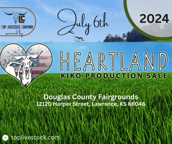 Image for 2024 | Heartland Kiko Production Sale
