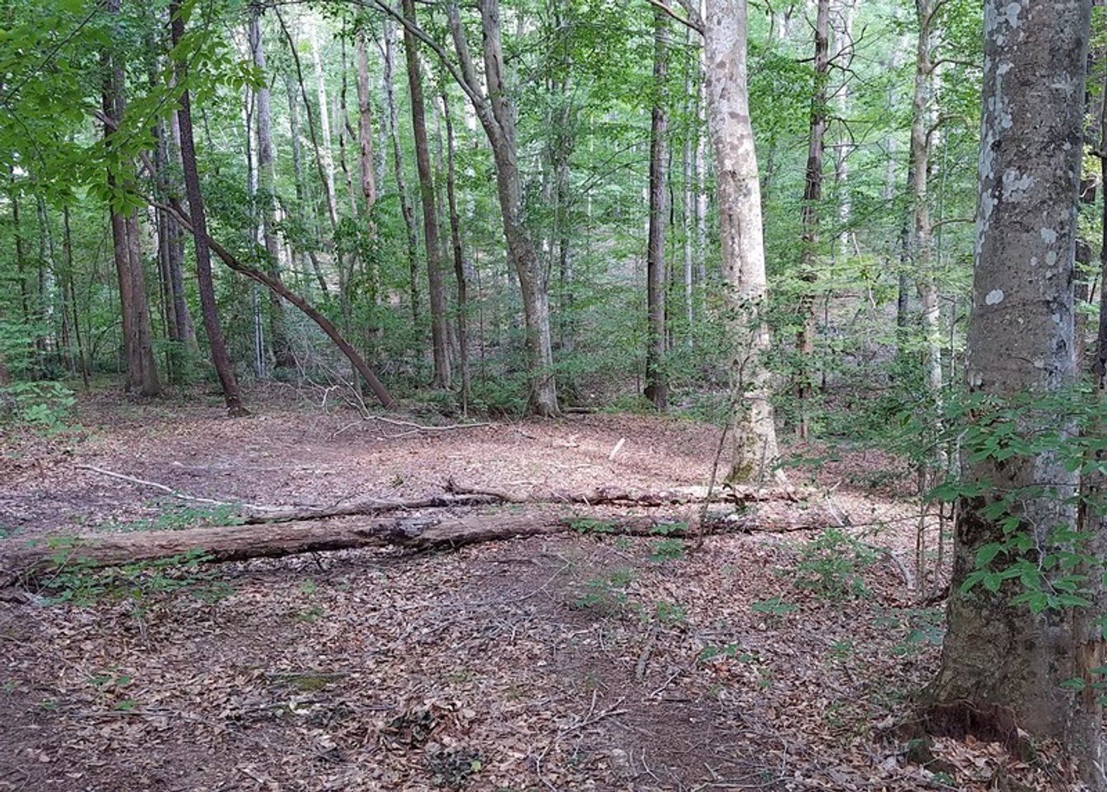 Image for 57+/- Acres just off Fairview Rd. in Fountain Inn, SC