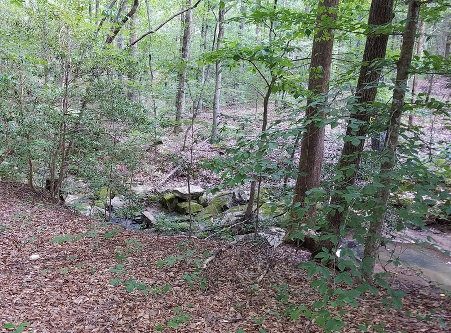 Image for 57+/- Acres just off Fairview Rd. in Fountain Inn, SC