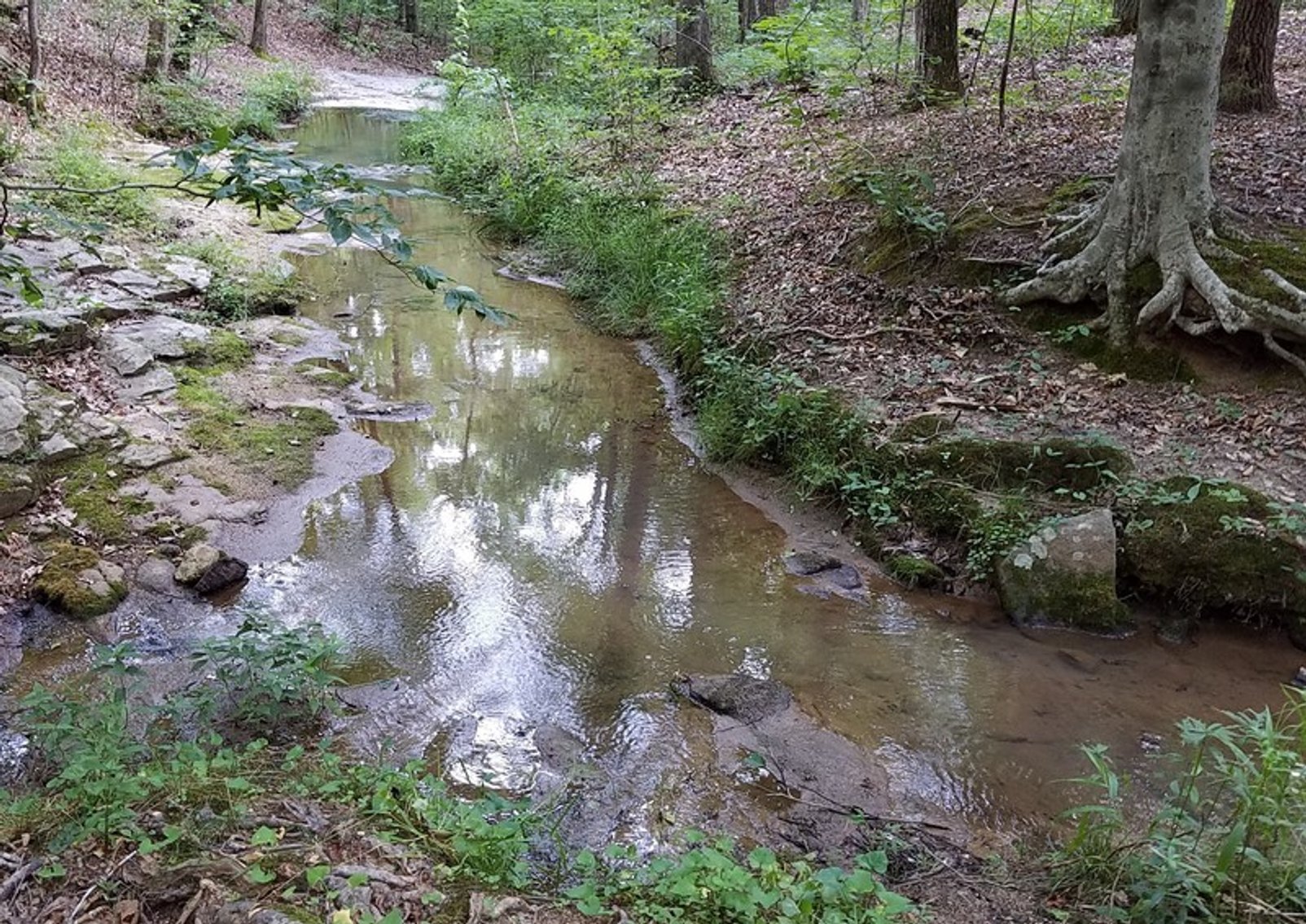 Image for 57+/- Acres just off Fairview Rd. in Fountain Inn, SC