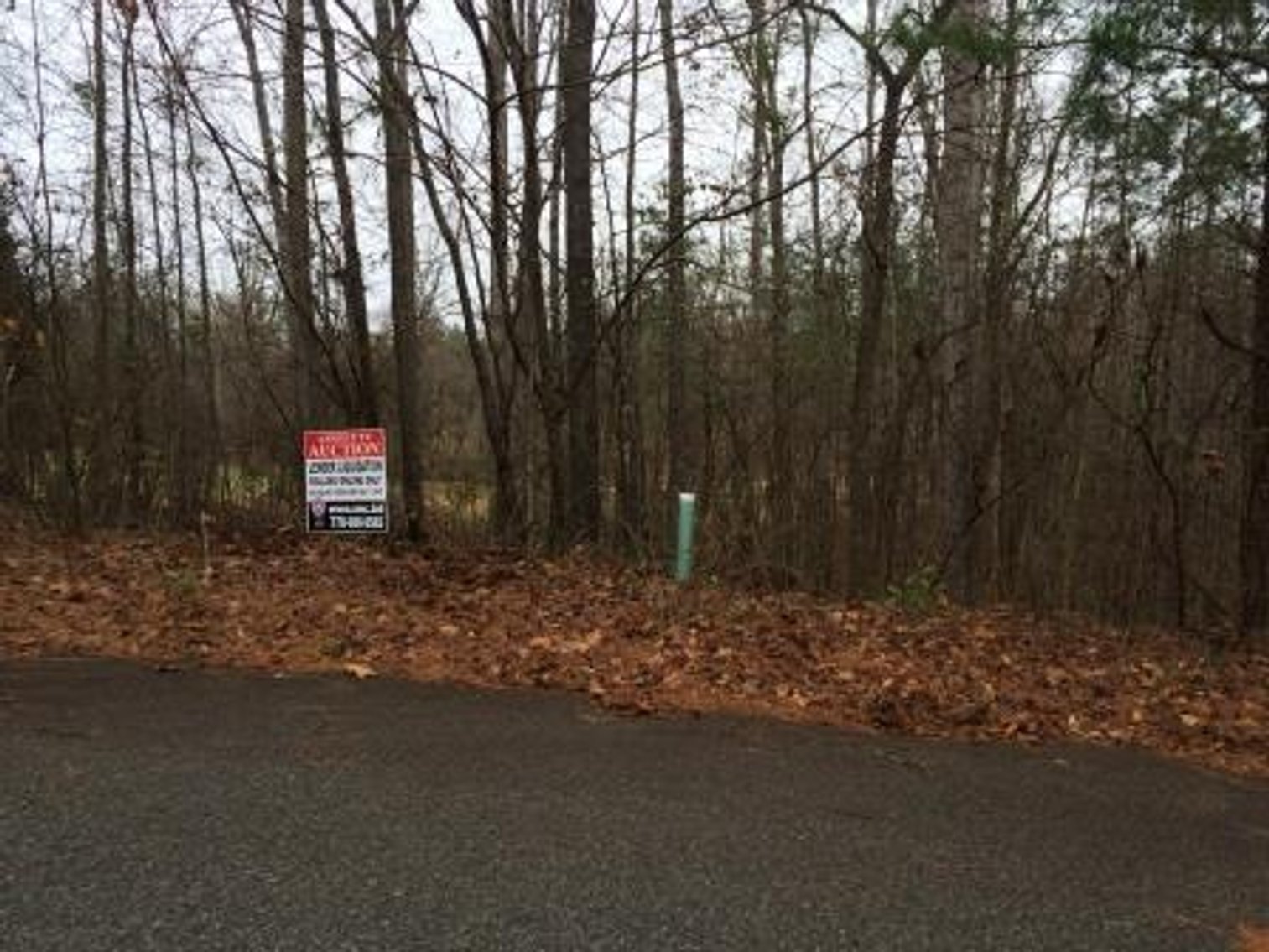 Image for #263: 155 Hampton Way in Hampton Glen at Barrington Hall Subdivision (Bibb Co.)