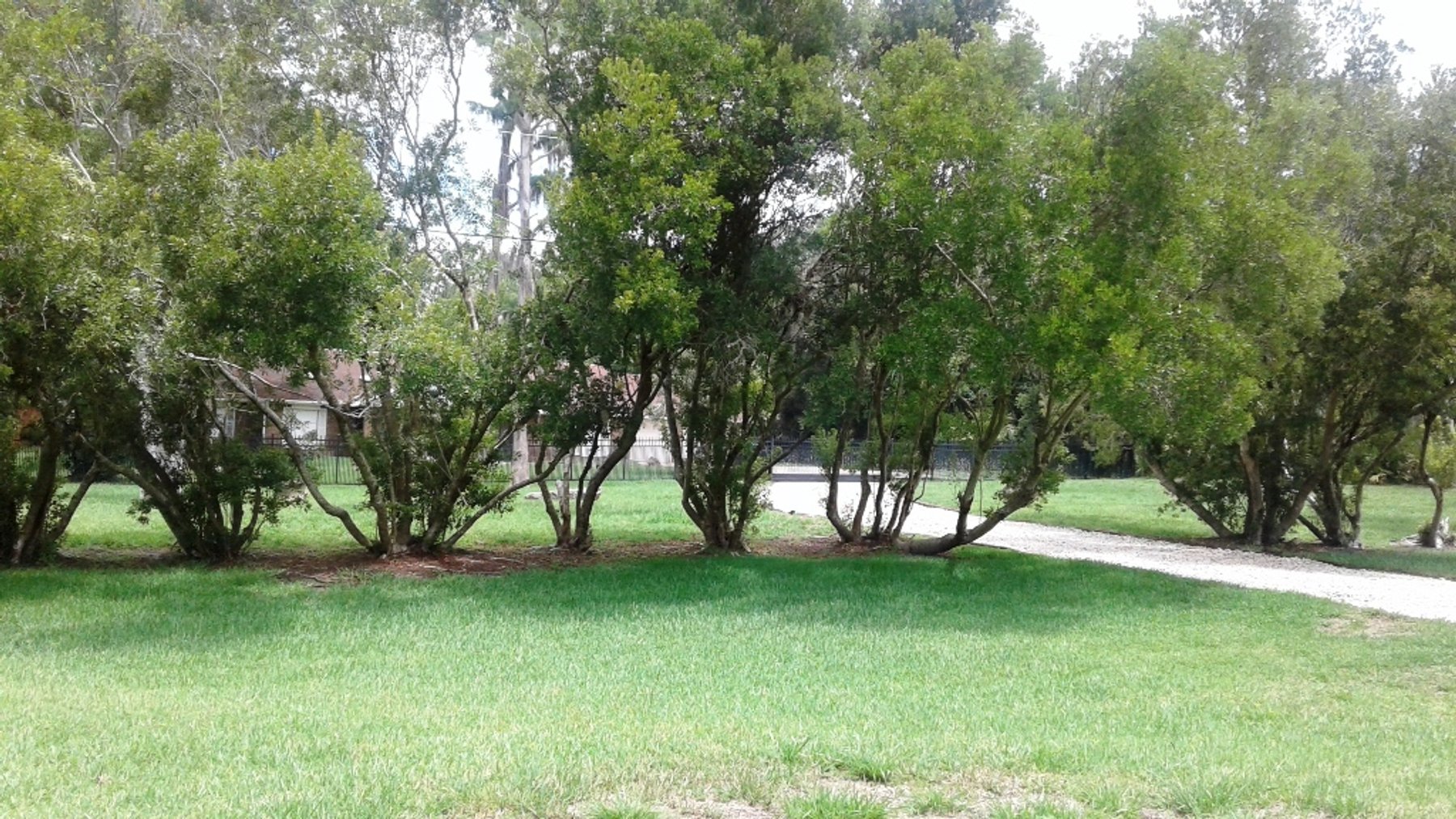 Image for 4,000±SF SFR on 1.45± Acres in Ormond Beach, FL 32174 (Volusia County)
