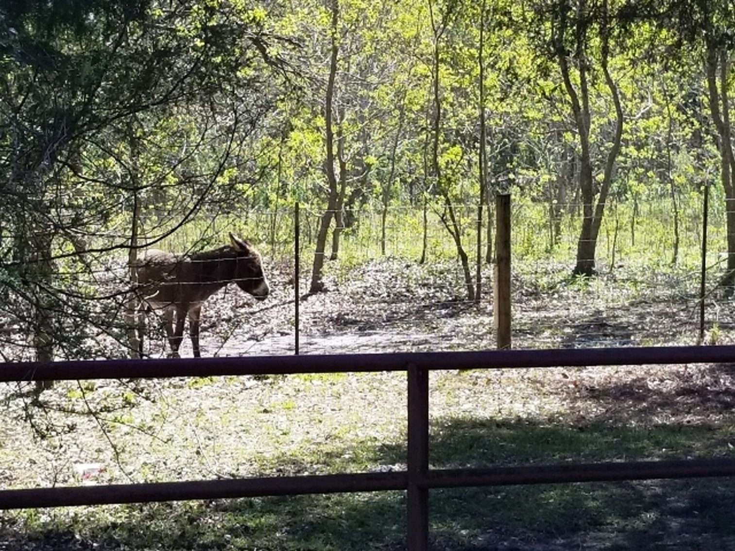 Image for 8± Acres with Residence at 1715 W Detroit Blvd, Pensacola, FL 32534