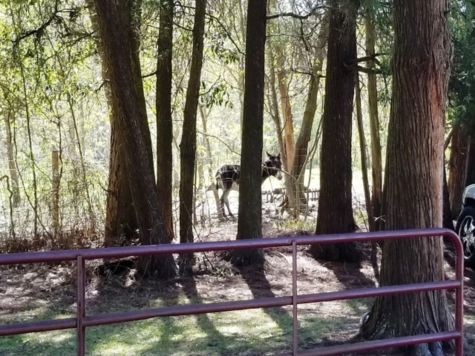 Image for 8± Acres with Residence at 1715 W Detroit Blvd, Pensacola, FL 32534