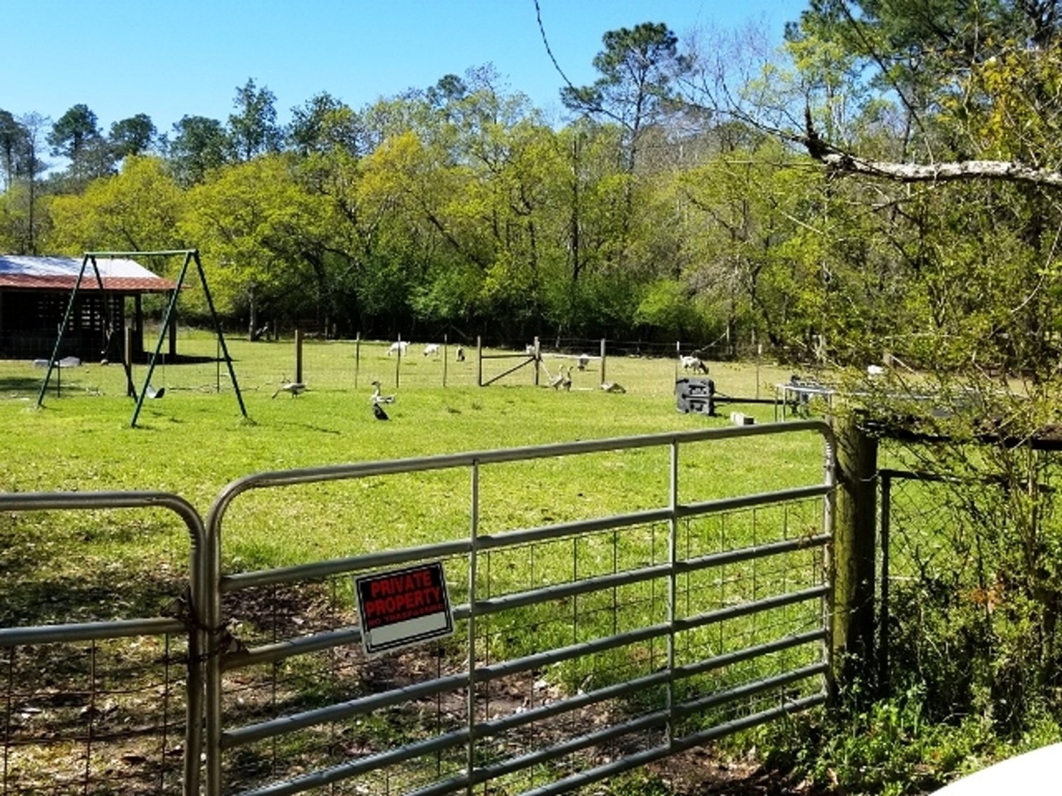 Image for 8± Acres with Residence at 1715 W Detroit Blvd, Pensacola, FL 32534