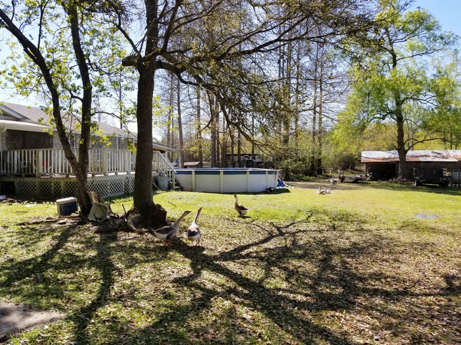 Image for 8± Acres with Residence at 1715 W Detroit Blvd, Pensacola, FL 32534