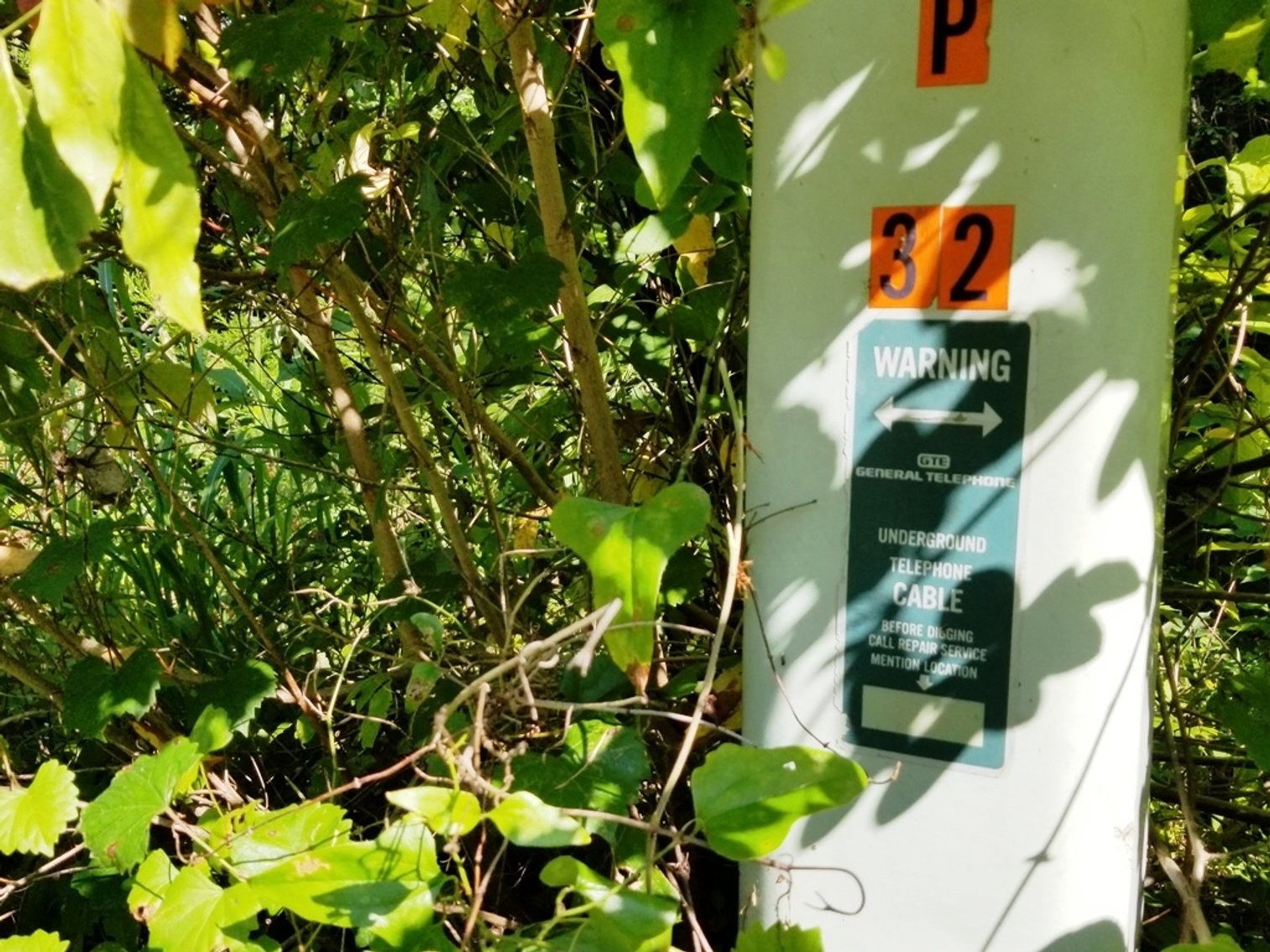 Image for 7.4± Acres of Wooded Land at 1698 Jenkins Ferry Rd, Martin, GA 30557 (Stephens County)