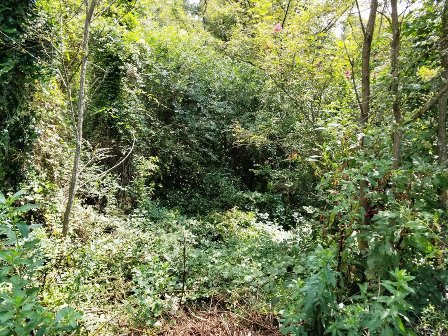 Image for .9± Acres of Commercial Land at 137 E. May St, Winder, GA 30680 (Barrow County)