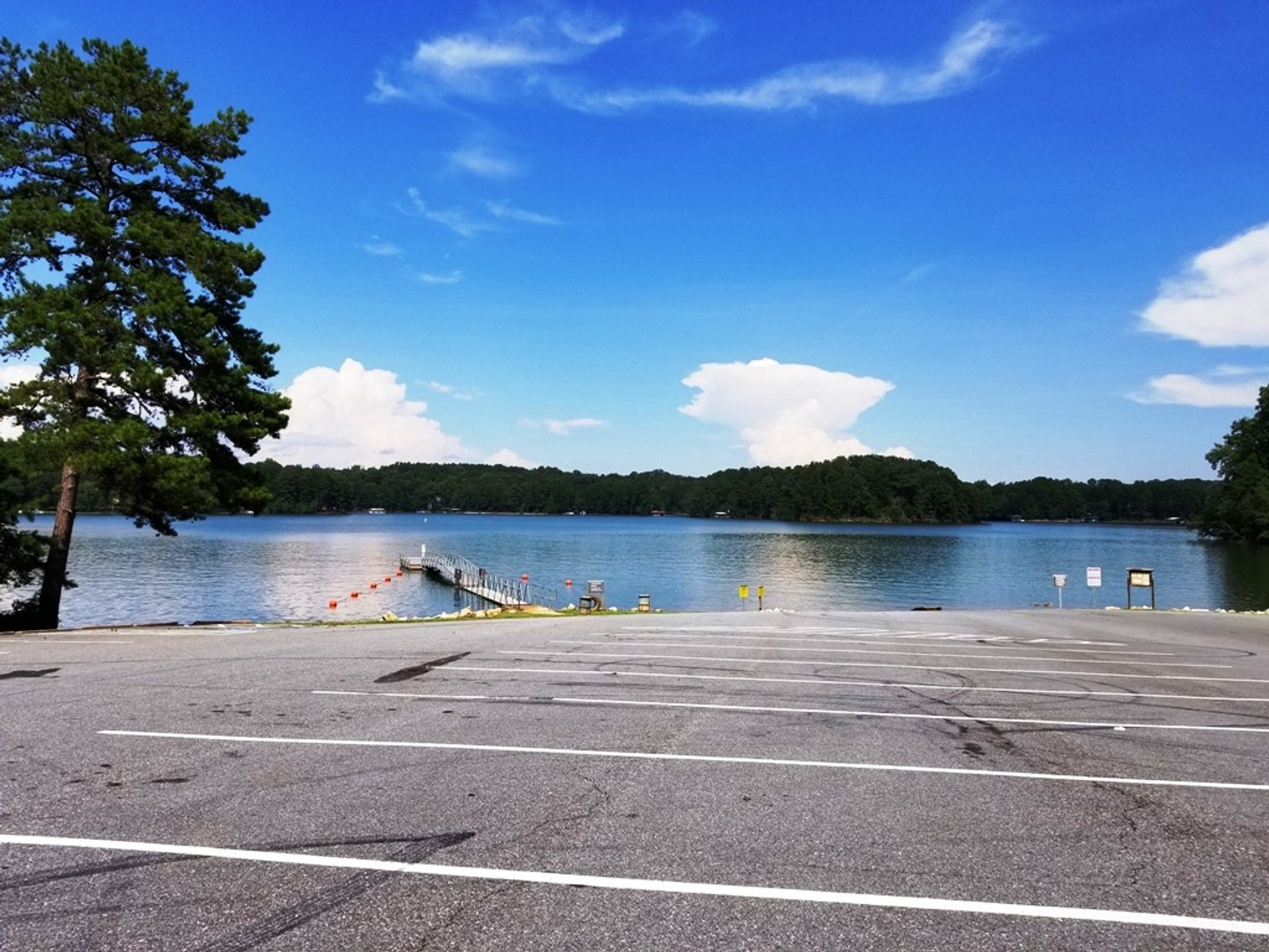 Image for 7.4± Acres of Wooded Land at 1698 Jenkins Ferry Rd, Martin, GA 30557 (Stephens County)