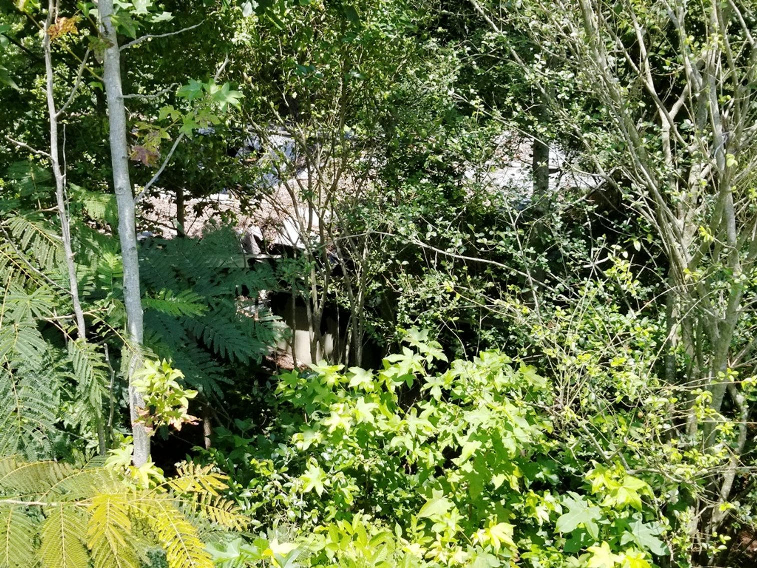 Image for 1± Acre Potential Commercial Lot at 7625 Keith Bridge Road, Gainesville, GA 30506 (Forsyth County)