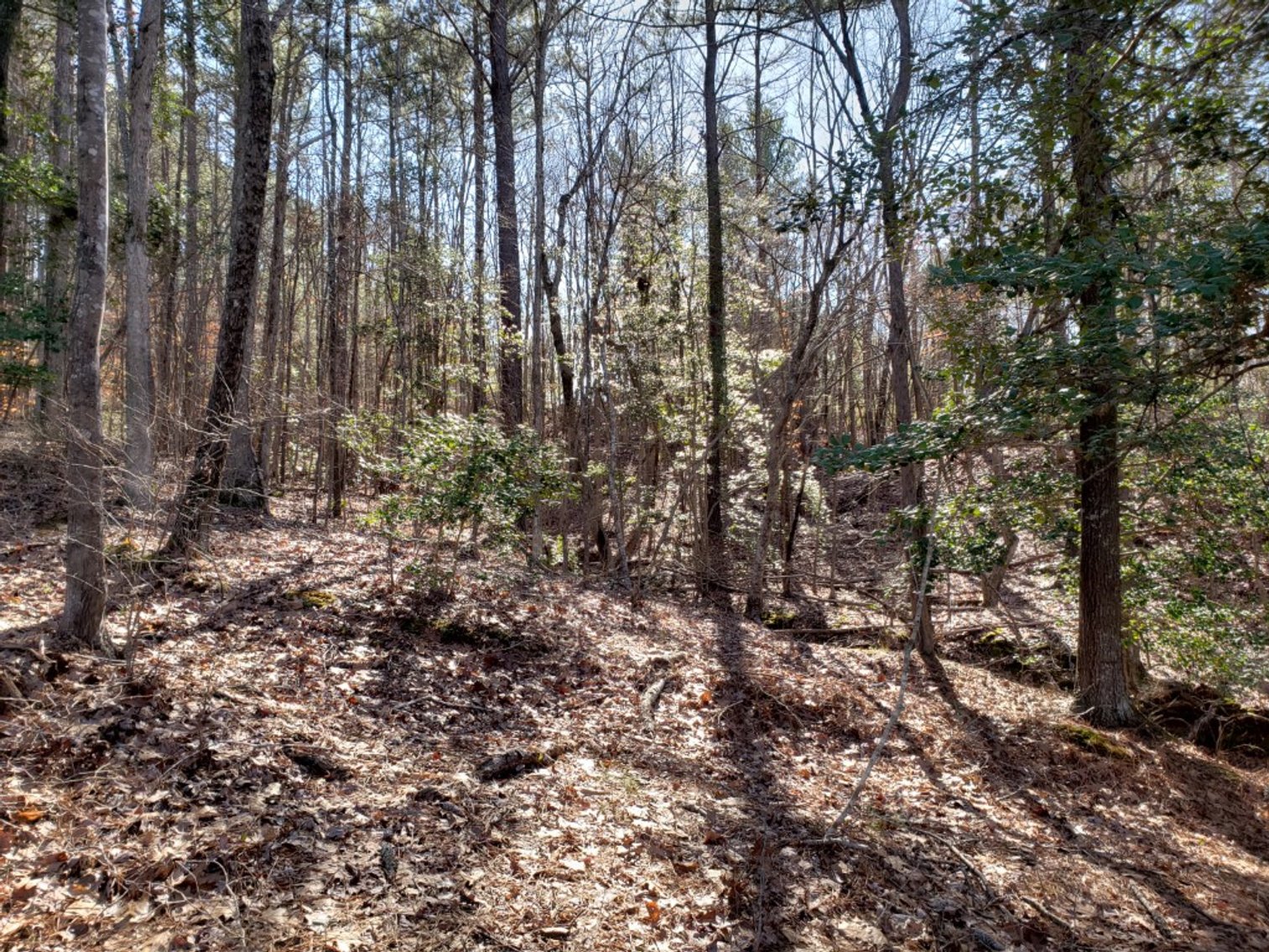 Image for Absolute Auction of .68± Acre Waterfront Lot on Cedar Creek Lake & 1.39± Acre Lot in Debutary Pointe Subdivision in Great Falls, SC (Fairfield Co.)