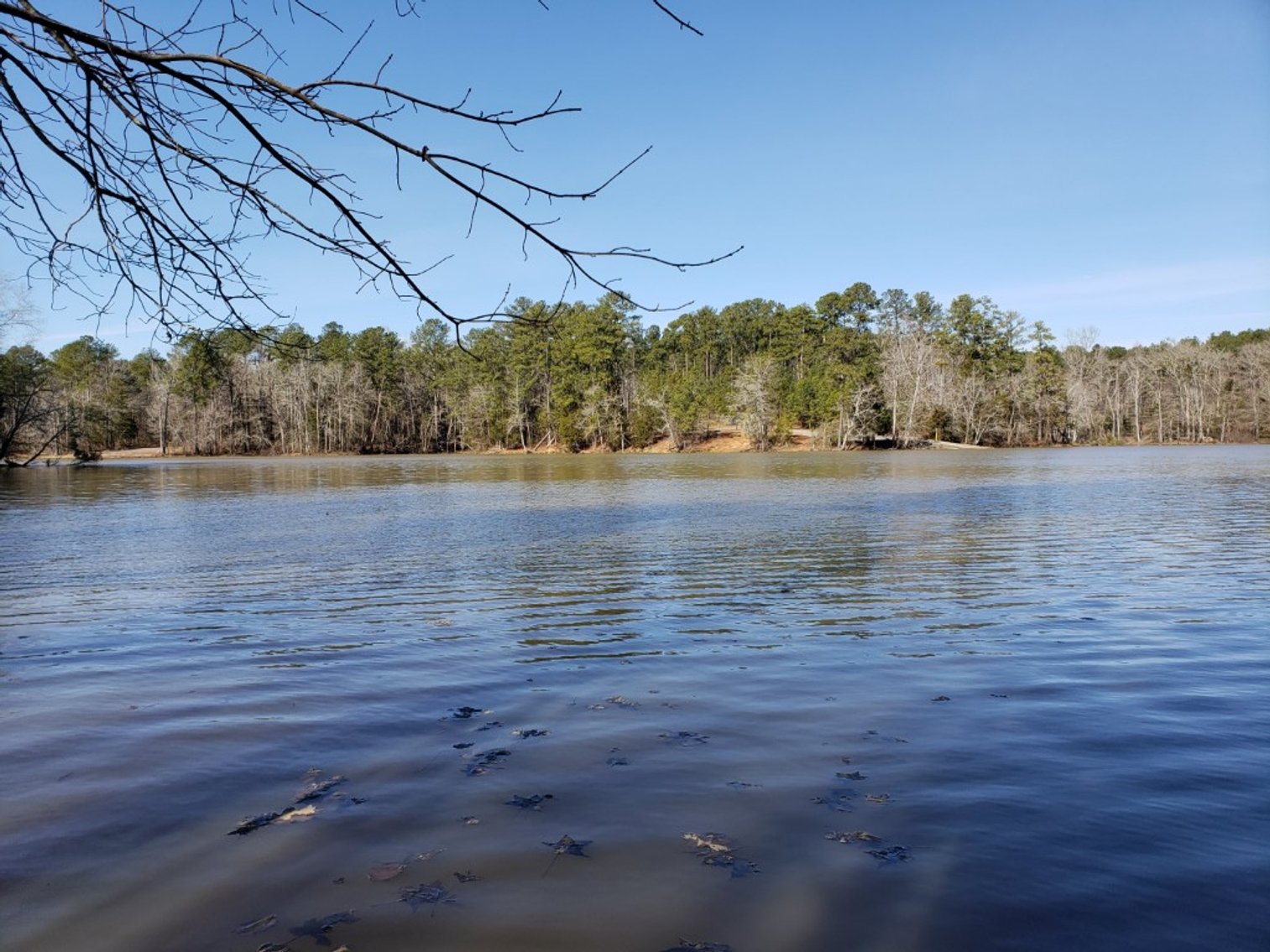Image for Absolute Auction of .68± Acre Waterfront Lot on Cedar Creek Lake & 1.39± Acre Lot in Debutary Pointe Subdivision in Great Falls, SC (Fairfield Co.)