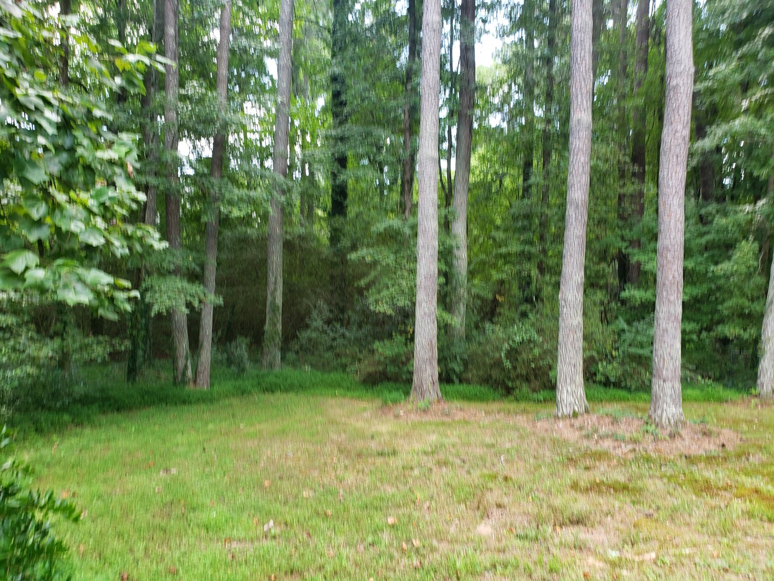 Image for Tucker GA: 3BR/ 2BA at 1456 Drayton Woods Dr. Tucker, GA 30084 (DeKalb County)