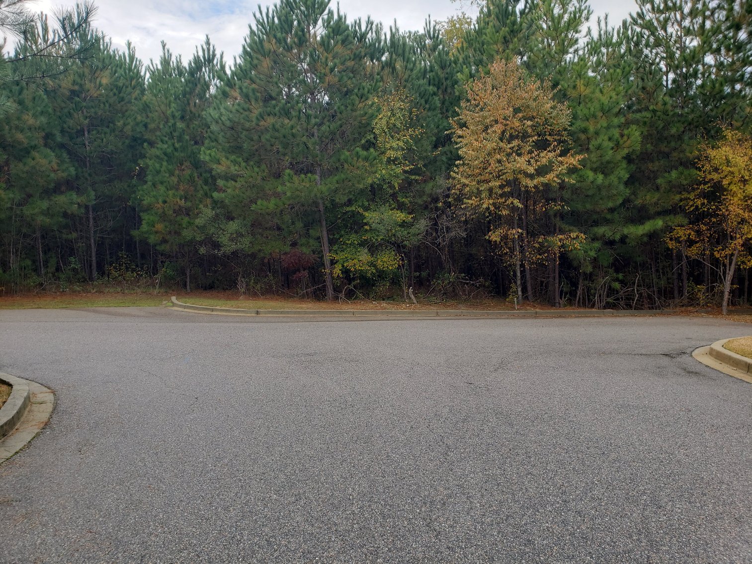 Image for Irmo, SC: 5 Development Parcels on 3.06+ Acres at 7448 Broad River Rd., Irmo, SC 29063 (Richland County)