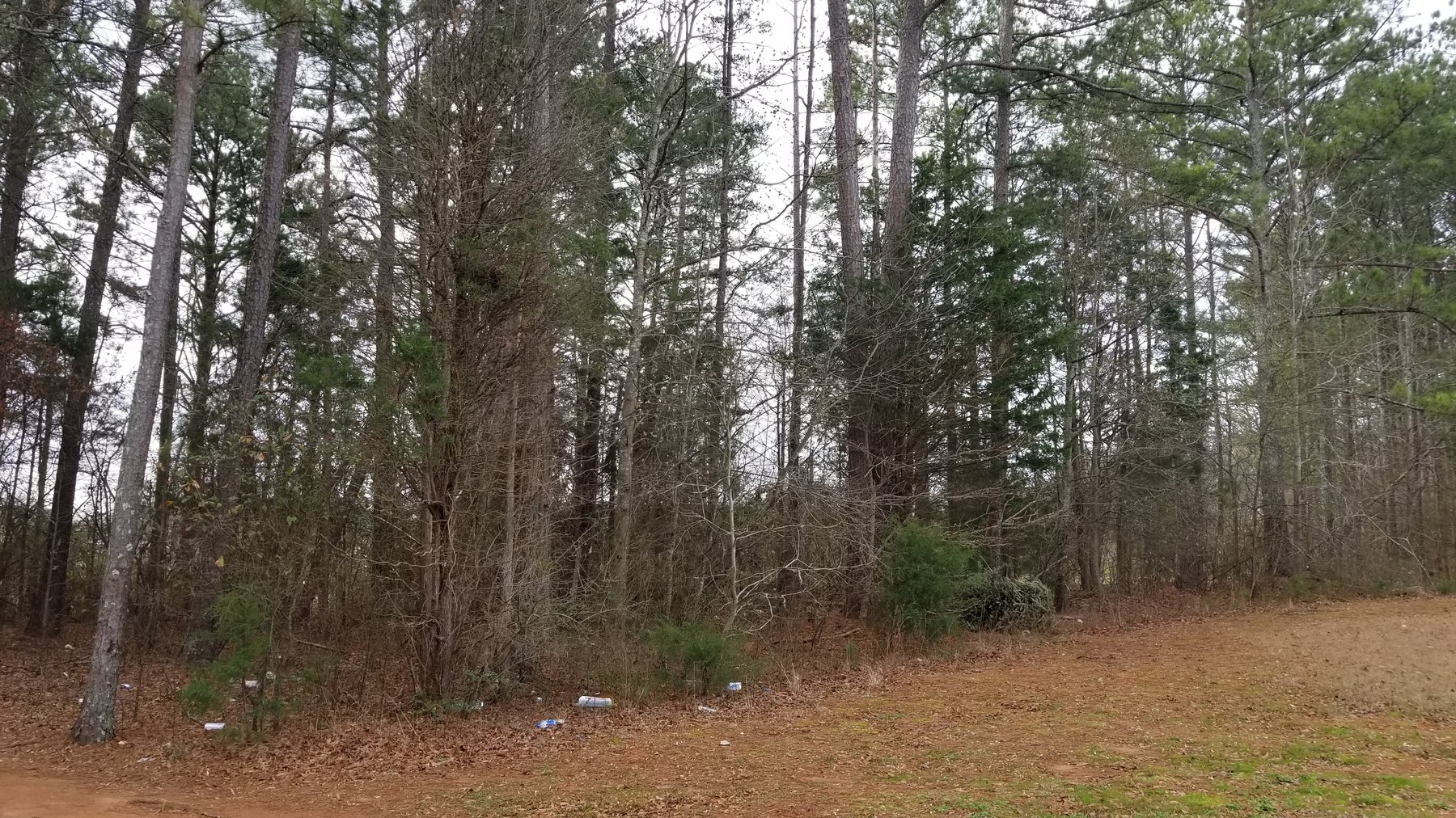 Image for SOLD PRIOR TO AUCTION - Palmetto, GA: 1.68 Acre Tract on Ballard Place in Palmetto, GA 30268 (Fulton County)