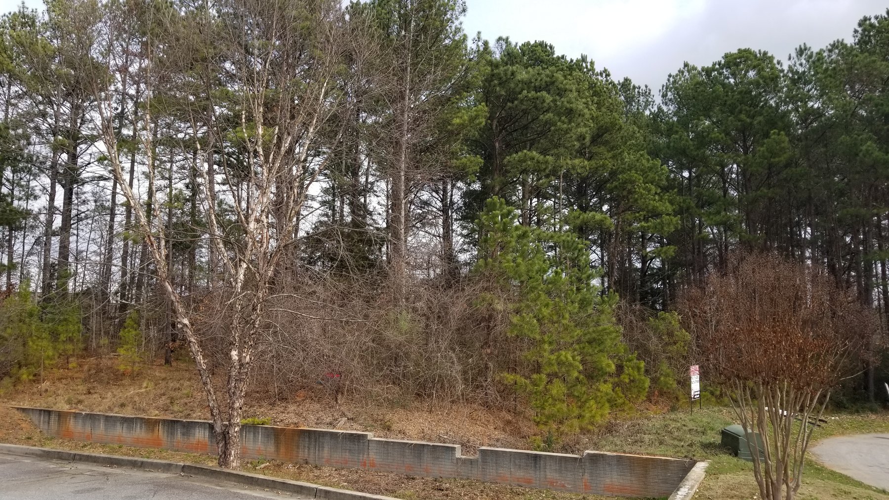 Image for SOLD PRIOR TO AUCTION - Palmetto, GA: 1.68 Acre Tract on Ballard Place in Palmetto, GA 30268 (Fulton County)