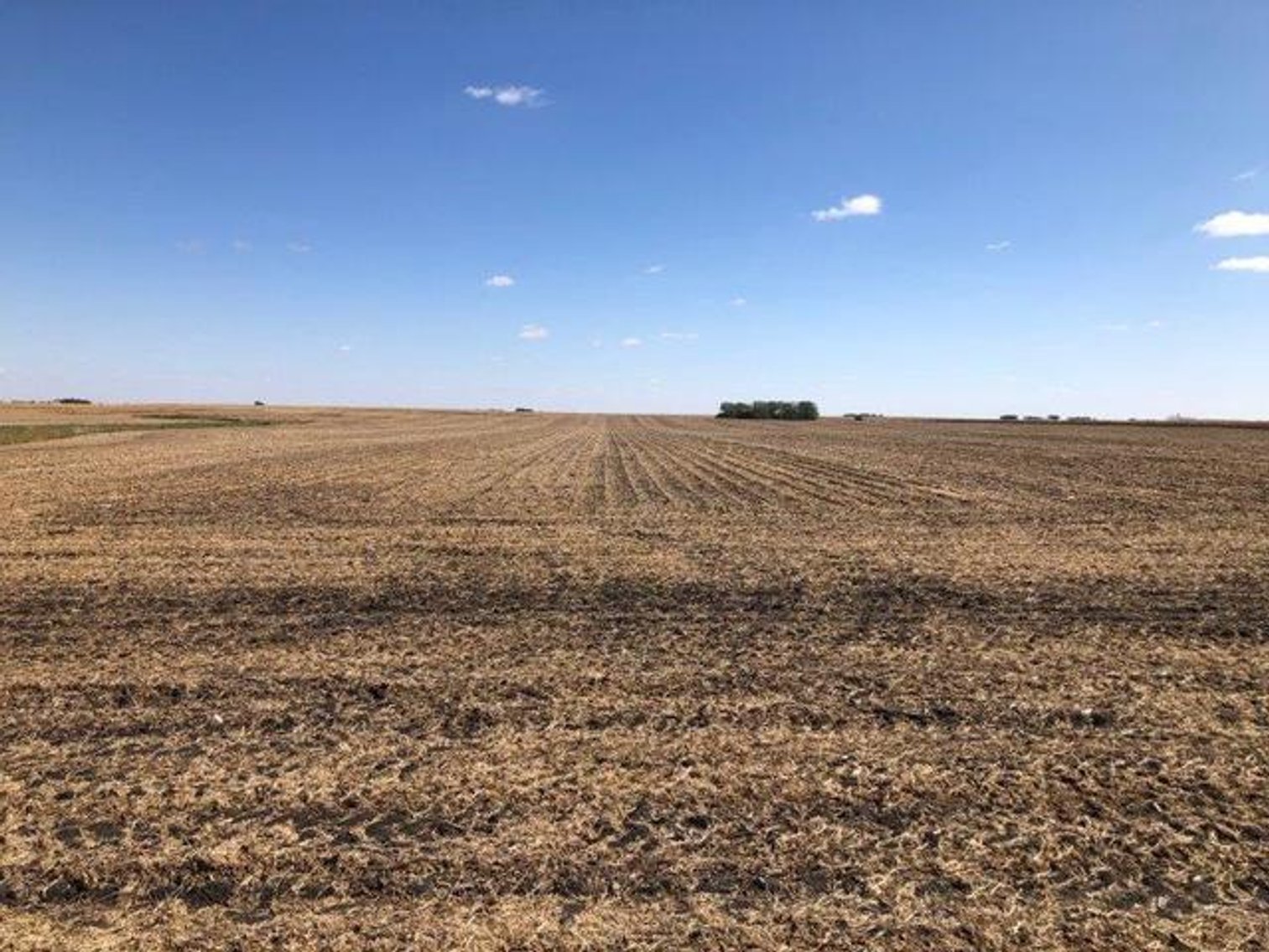 Image for CALHOUN COUNTY IOWA FARMLAND