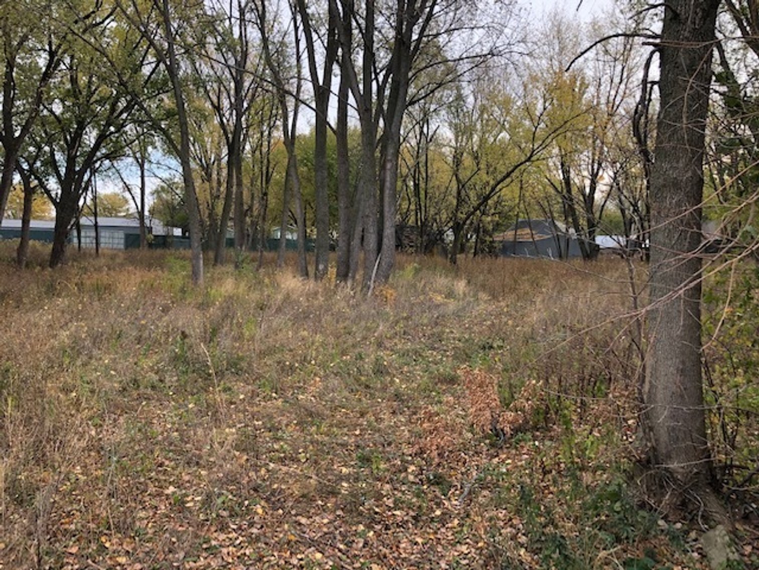 Image for Lake View, Iowa Homes & Large Lot