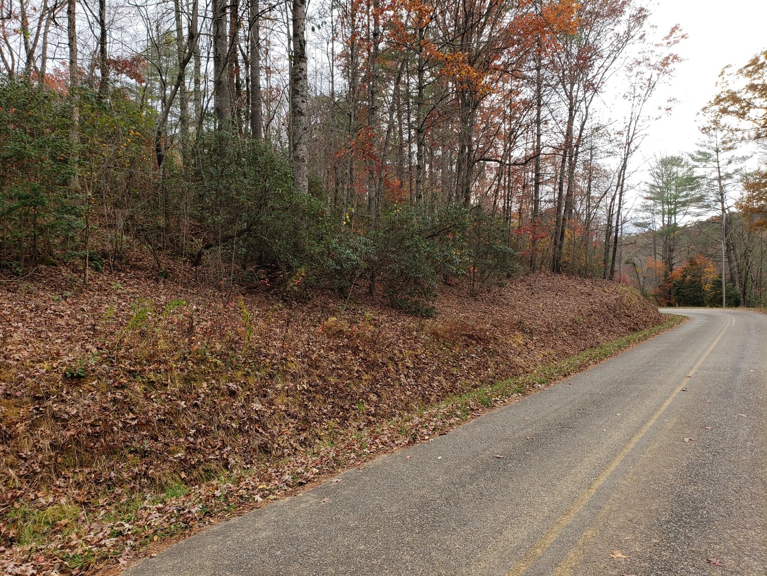 Image for Property #201: Murphy, NC: 1± Acre Lot at 10 Picon Grove Lane, Murphy, NC 28906 (Cherokee County)