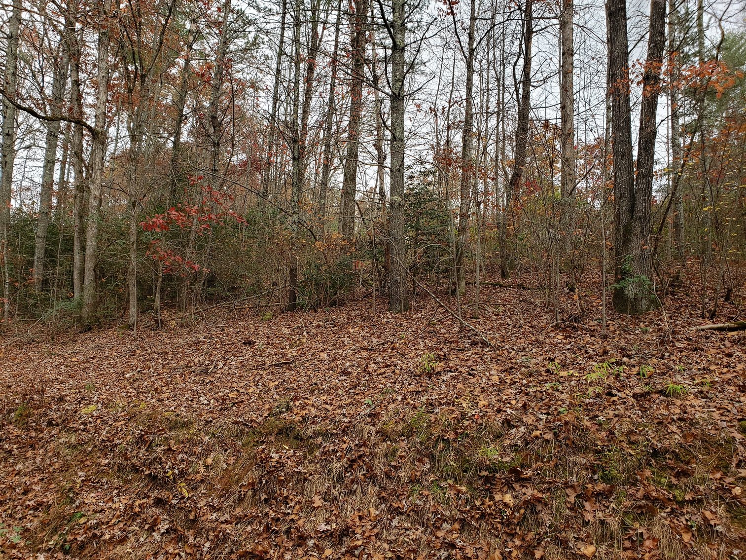 Image for Property #201: Murphy, NC: 1± Acre Lot at 10 Picon Grove Lane, Murphy, NC 28906 (Cherokee County)
