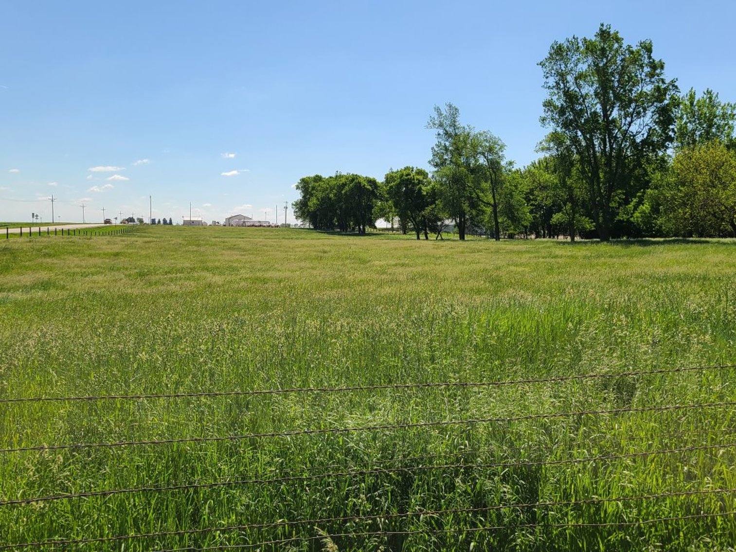 Image for Sac County, Iowa Pastureland & Estate Acreage Equipment Auction