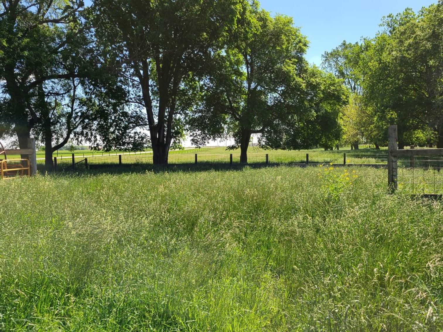 Image for Sac County, Iowa Pastureland & Estate Acreage Equipment Auction