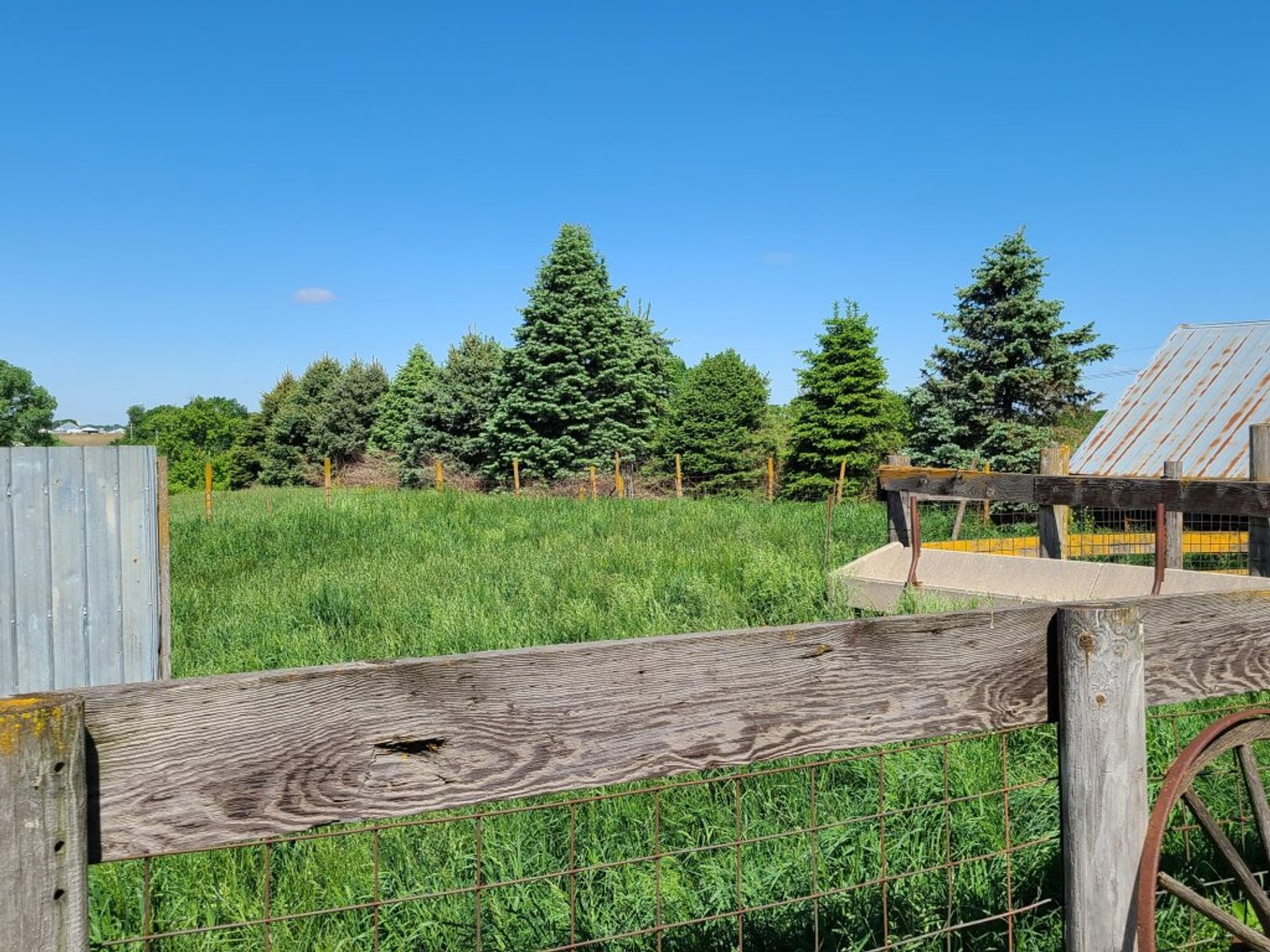 Image for Sac County, Iowa Pastureland & Estate Acreage Equipment Auction