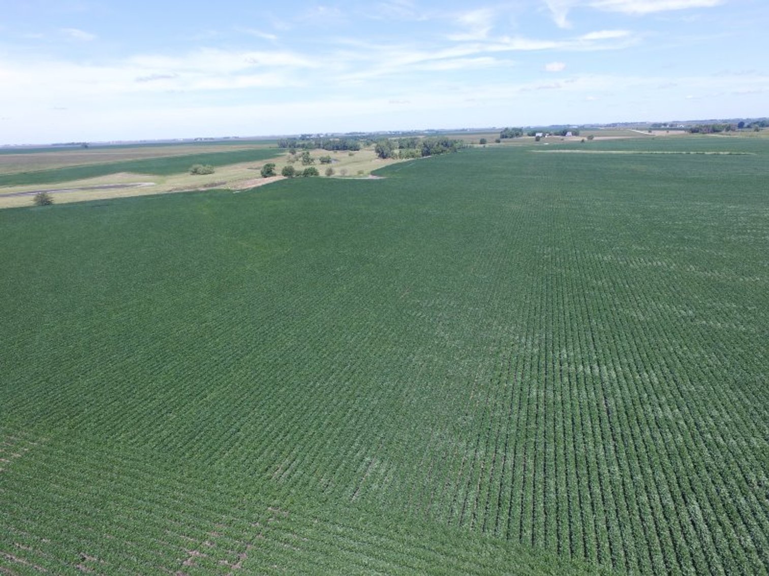 Image for Land Auction Results