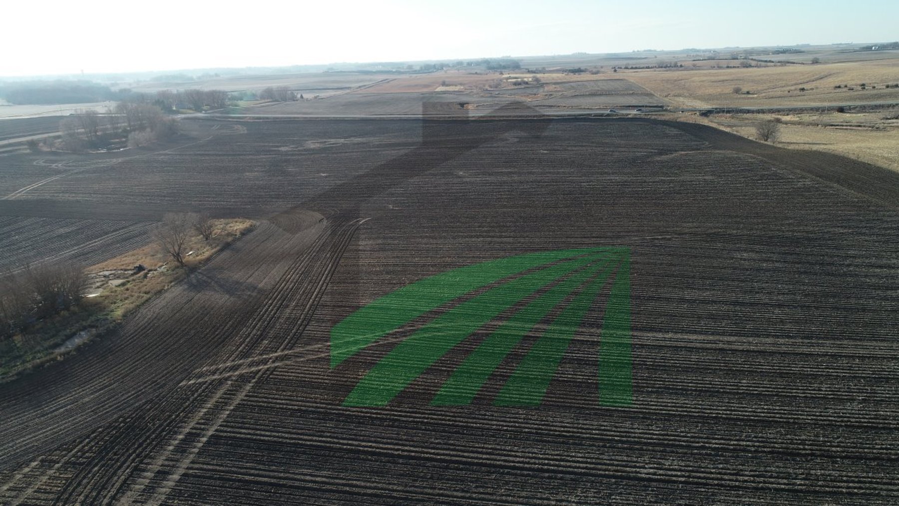 Image for Sac County, Iowa Farmland Auction
