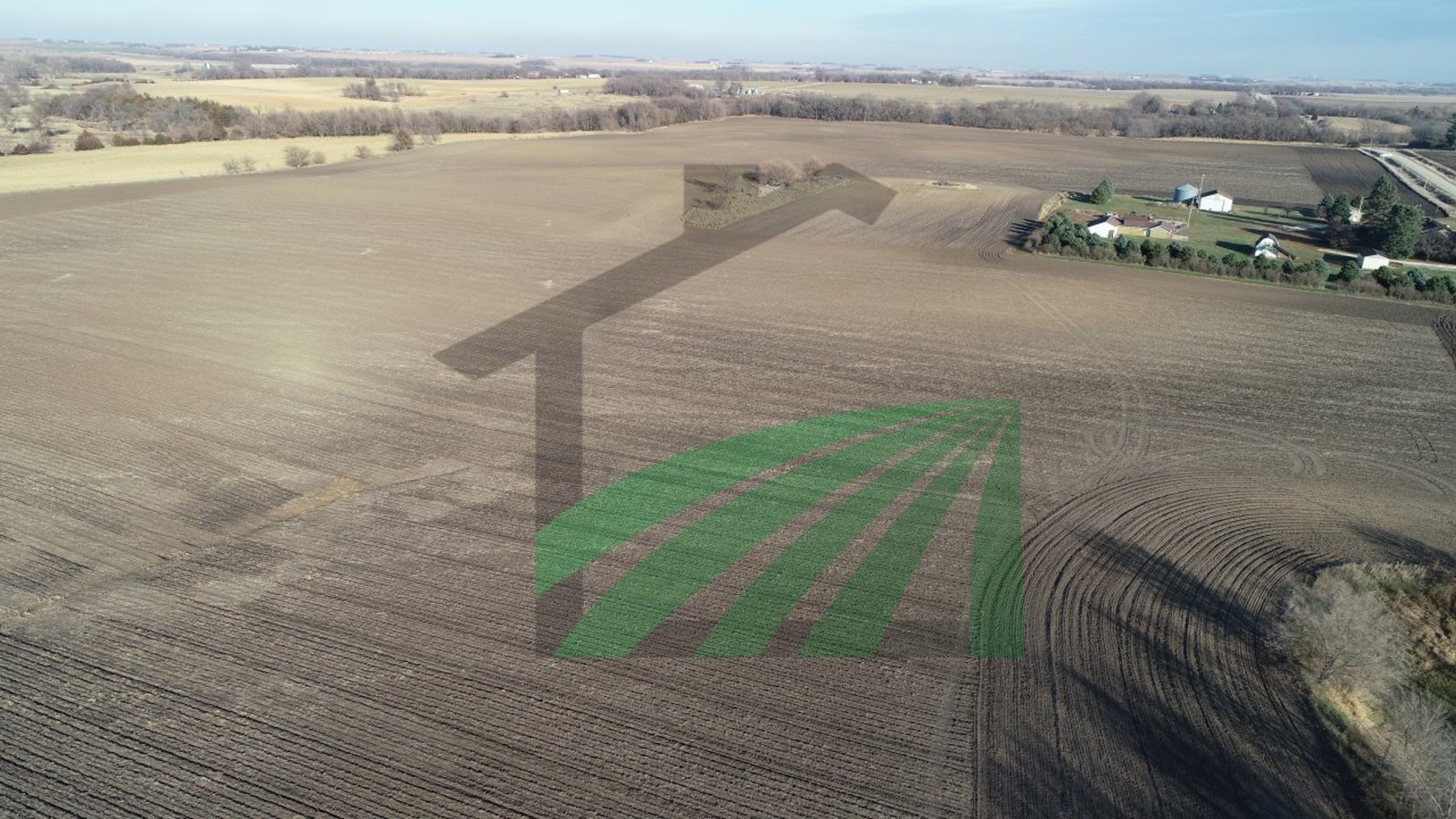 Image for Sac County, Iowa Farmland Auction