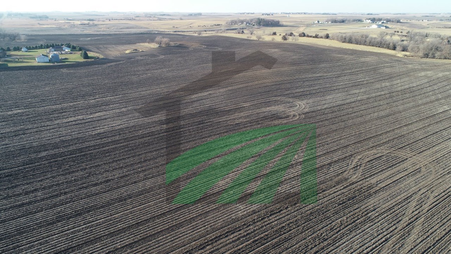 Image for Sac County, Iowa Farmland Auction