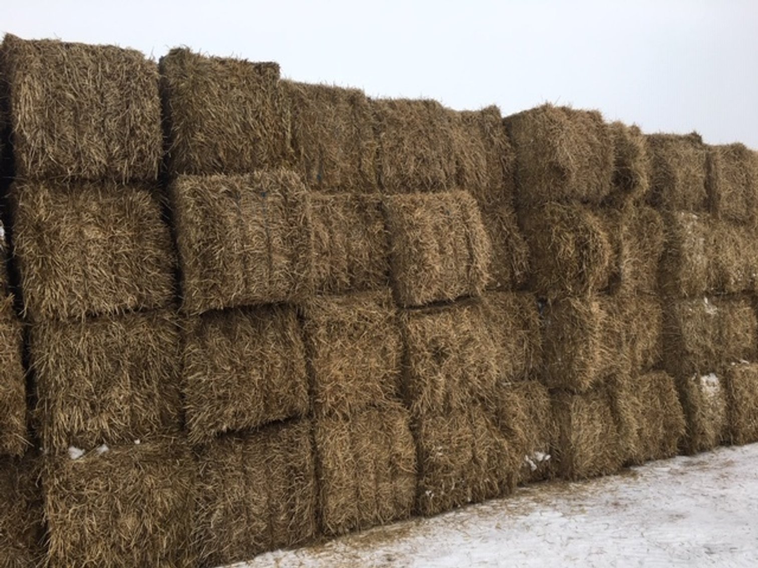 Image for Hay and Firewood Auction