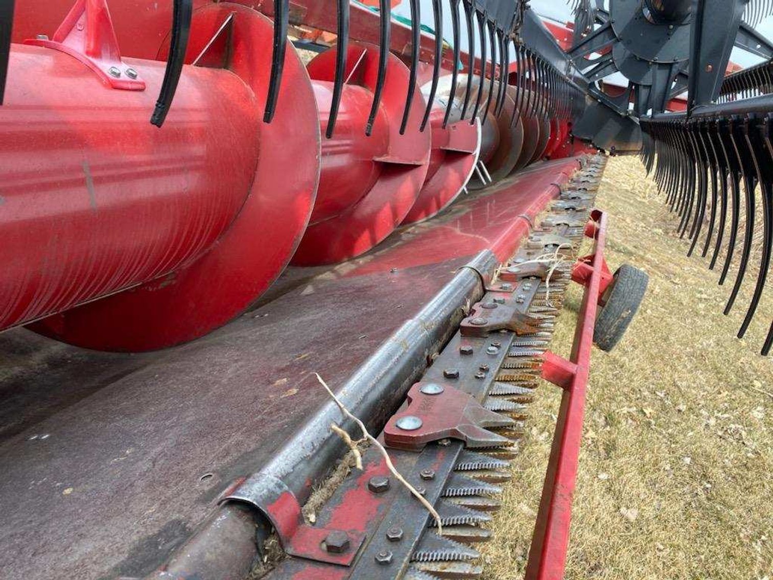 Image for Golden Triangle Consignment Auction