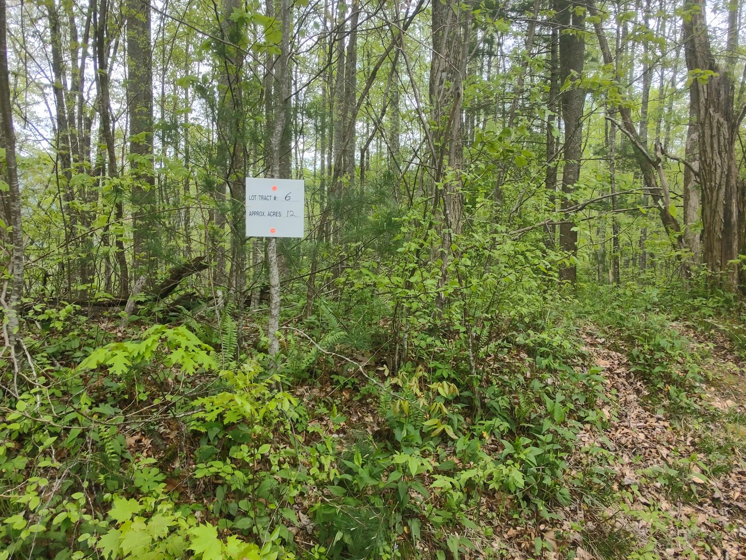 Image for Franklin, NC: 12± Mountaintop Acres in Peaceful Cove Estates, Franklin, NC 28734 (Macon County)