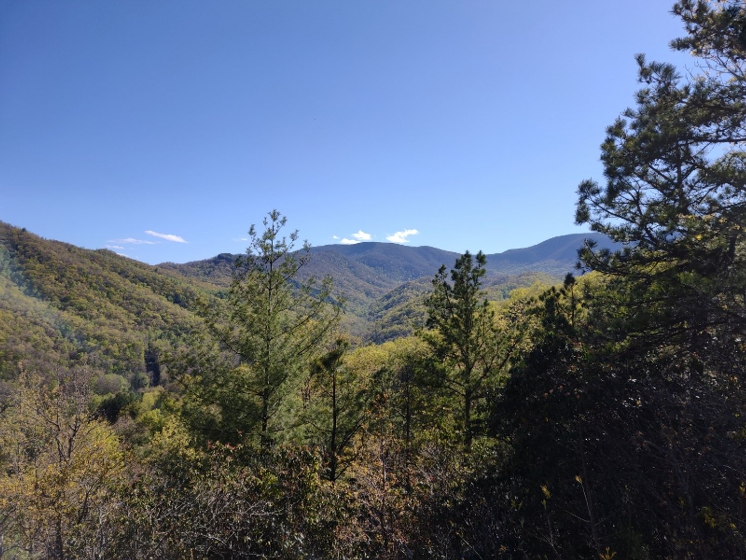 Image for Otto, NC: 10.5± Mountaintop Acres in Heritage Mountain Estates, Otto, NC 28763 (Macon County)